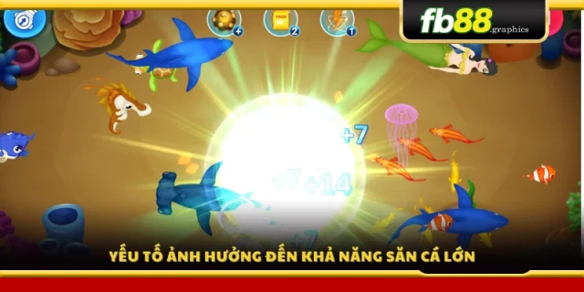 Những yếu tố quyết định tỷ lệ trúng cá lớn 